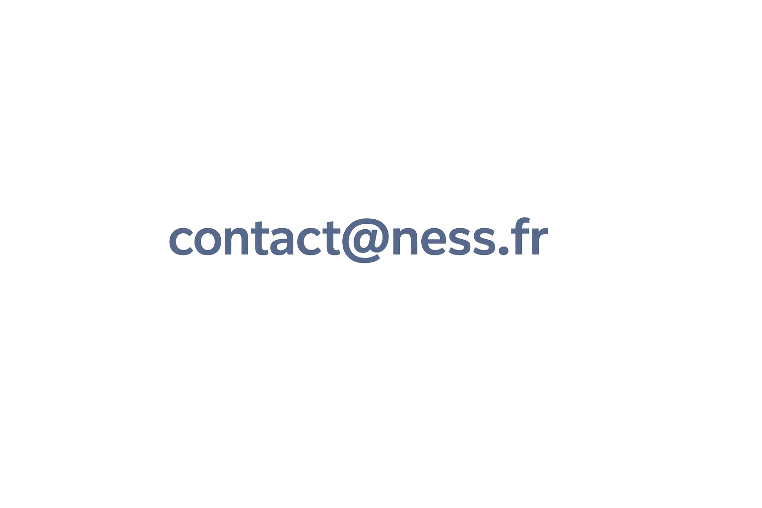 Contact NESS